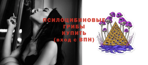 PSILOCYBIN Алексин