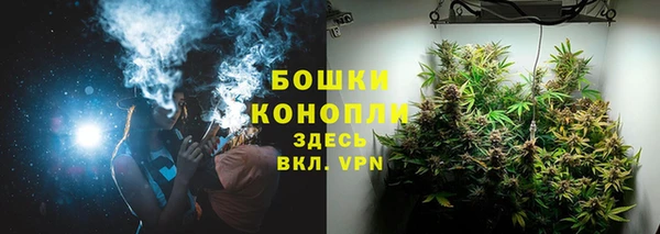 PSILOCYBIN Алексин